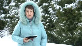 2340. Хлеб на каждый день. Псалом 21:13