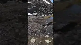 Natures infinity pool #Alaska #Shorts #Explore