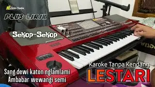 LESTARI (Wahyu F Giri) Karaoke Tanpa Kendang plus lirik...