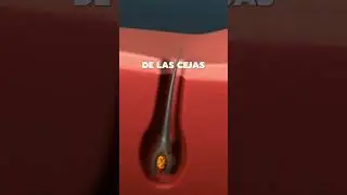 &iquest;Cada cu&aacute;ndo es recomendable hacer un laminado de cejas? 🔵🤔❓
