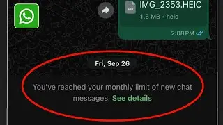 WhatsApp. Вы достигли месячного лимита новых сообщений в чате. Подробнее. Проблема.