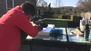 Plinking in the backyard with a Walther LGV Master Pro
