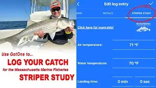 How to Use GotOne to log striped bass for the MA DMF striper study