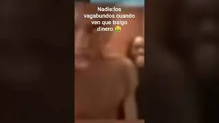 xd #shorts #memes #xdc