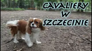 Cavaliery w Szczecinie - spotkanie