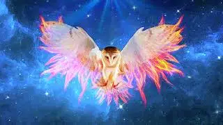 Sp8ce Owl - Music for Studying, Working and Relaxing