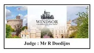 Applejem   Windsor   29062025
