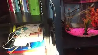 TOPFIN 3.5 Gallon fish tank