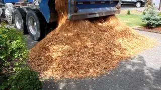 cedar chips, 17 cubic yards