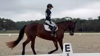 Dressage Test || Training Level || USEA || Horse Trials || 29