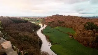Forest of Dean, Forest of Nature... #MyForestofDean