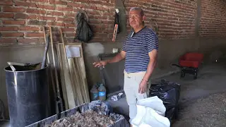 Uso de estopa de coco para cultivo de papa