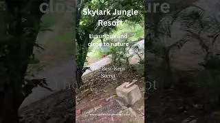 Skylark Jungle Resort
