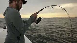 GW Series Saltwater Reels: TUNA TOUGH... SEVIIN SMOOTH. #saltwaterfishing #saltwaterreel #fishing