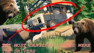 SNOW, SNAKES AND sBEARS │RV THERE YET #1