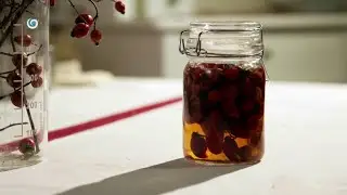 Recepty zo šípok (NA CHALUPE)