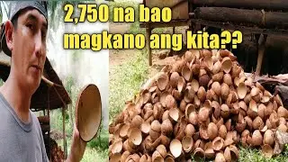 malaki ang kita sa bao ng niyog/pag uuling ng bao ng niyog/yamkii