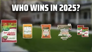 The Top 5 Best Winter Lawn Fertilizer in 2025 - Must Watch Before Buying!