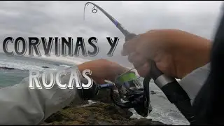 Pesca de CORVINA con vinilo y señuelo 2025