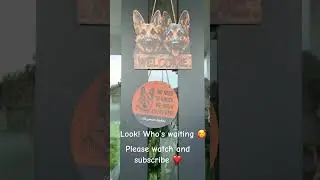 Amazing dog, Logan ❤️ #germanshepherd #doglove #puppy #shortvideo #dogmom #pets