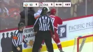 Kyle Hagel vs Stu Bickel Jan 9, 2016