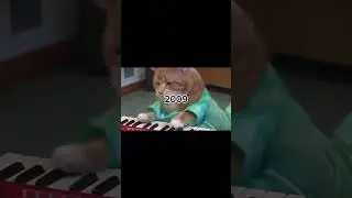 the keyboard cat 🐱