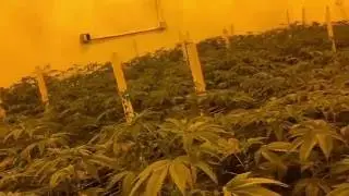 EPISODE 1- 75 LIGHTS OF SFV OG...FOLLOW ALONG