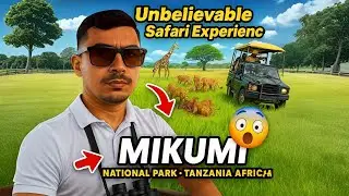African Wildlife Safari in Tanzania | Mikumi National Park Travel Vlog