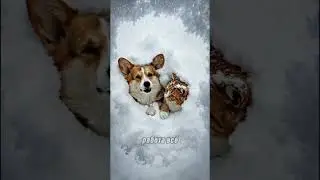 узнали московский понедельник после праздников? #aicreator #cute  #cat #animals #funny #подкаст
