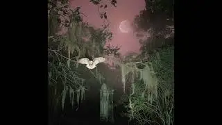 [FREE] Wisp x Alternative Indie Rock Type Beat - 