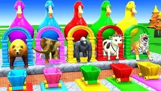 Animals cartoon video hun lion cow pig chicken elephant tiger bhallo jojo animals cartoon video game
