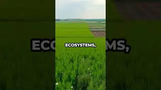 GMO Debate: Miracle Crop or Environmental Disaster? 🌱⚠️