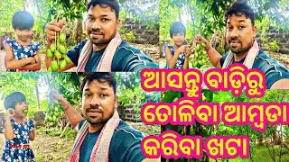 ଆଜି ବନେଇବା ଆମ୍ବଡା ଖଟା //ଏହିପରି ଘରେ ବନାନ୍ତୁ// Ambada khata //Ambada achar Recipe//Odia style re khata