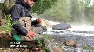 Brook Trout Fly Fishing On A Secluded River In Northern Ontario