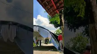 Terop balap group 04976 #short #shorts #subscribe #teropbalapgroup #trending #viralvideo #shortvideo