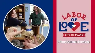 Labor of Love Ep. 12 - Plano Animal Services
