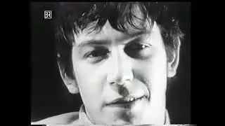 The New Animals interview (1966)