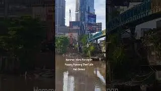 Sheet Pile Siap di Pancang Vibrator Hammer #hammervibrator #kalibekasi #Sheetpile