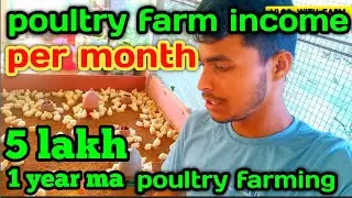 poultry farm income per month | poultry farm income per month in india |poultry farm business profit