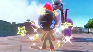 SHINY CHARCADET IN VIOLET VIA MASUDA METHOD