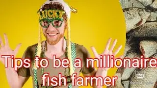 Amazing Fish farming lessons to become a millionaire fish farmer.