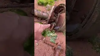 What kind of axle is this？Hilux #rusted #oceanfind #abandonedcar #reclaimed #metaldetecting #shorts