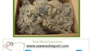 Cashmere Raw Wool Wholesale