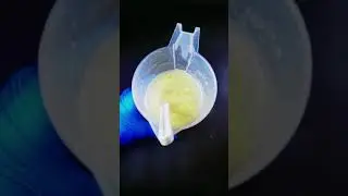 Resin Skull