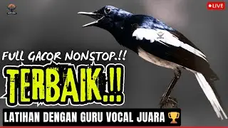 KACER GACOR FIGHTER🏆 MASTERAN PALING DICARI SUARA KACER GACOR NGEPLONG, ISIAN RAPAT & POWER FULL!