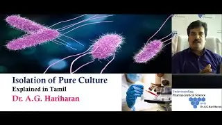 Isolation of Pure Culture Explained in Tamil