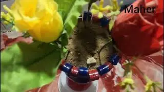 Making a vase with soda cans.#art #manual work#skills #iran 2023
