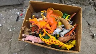 wild farm animals my collection cow elephant hippo rhino zebra gorilla bear dear snake.. anim safari
