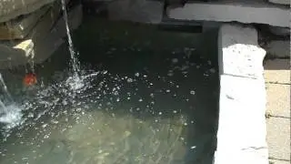 Water Weasel Ball w/Orthoganol and Guide Fins