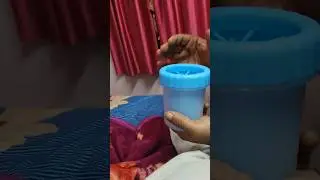 Bella&rsquo;s New Paw Cleaner Unboxing with Bhool Bhulaiyaa 3 Beats! |Quick and Fun Paw Wash @Rinievlogs